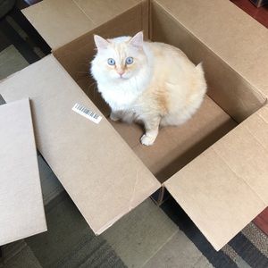 Meet your Posher, Stacey